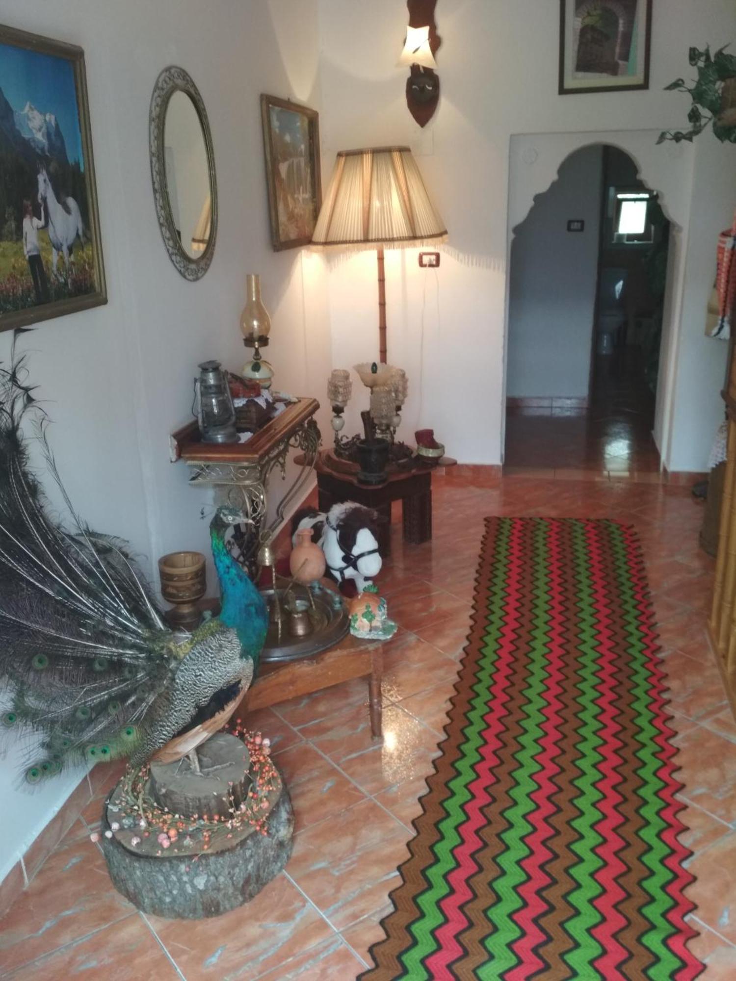 Karafil Guesthouse Gjirokaster Luaran gambar