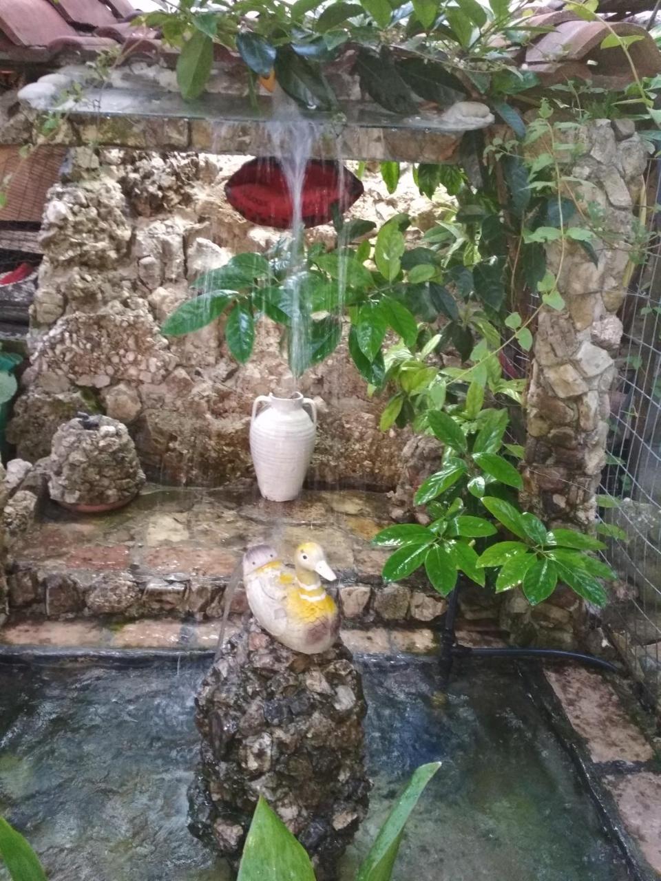 Karafil Guesthouse Gjirokaster Luaran gambar