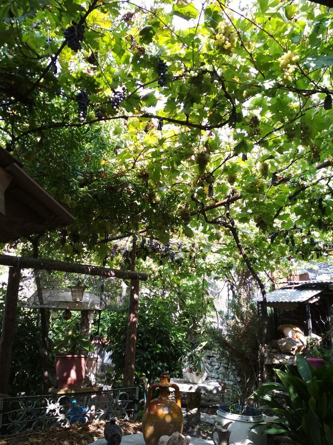Karafil Guesthouse Gjirokaster Luaran gambar